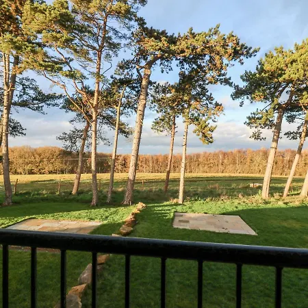 Miller's Wheel 哈罗盖特