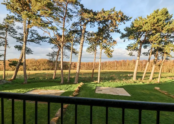 Miller's Wheel Harrogate