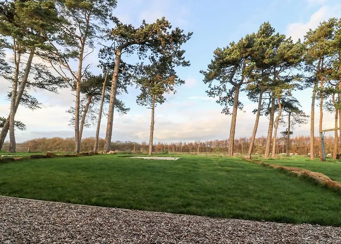 Miller's Wheel Dom wakacyjny *